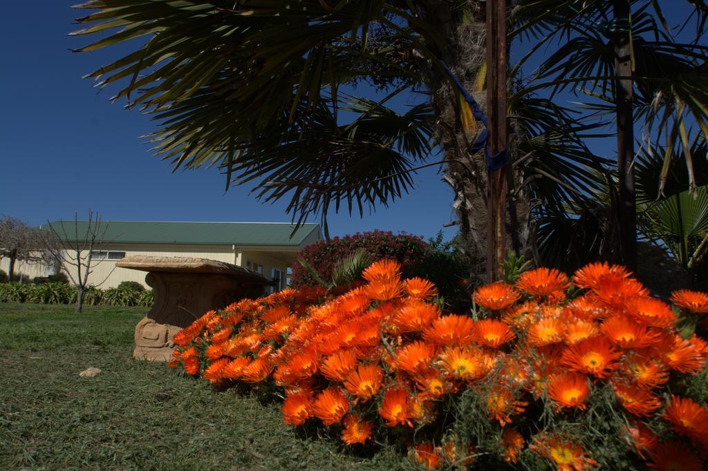 Milawa Muscat Retreat B&B Exteriér fotografie